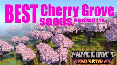 best cherry blossom seeds in minecraft|minecraft best cherry grove seeds.